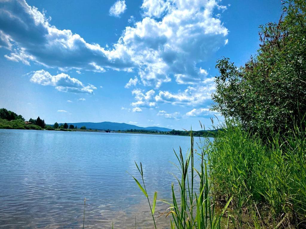 Apartman Lipenka Černá v Pošumaví Dış mekan fotoğraf